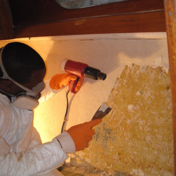 Great Eagle, strip interior paint Great Eagle, strip interior paint