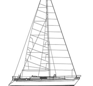 Swan_36-Frers_feature